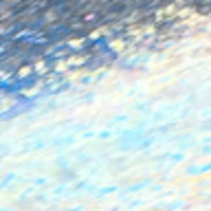 Meet your Posher, Partyingallday